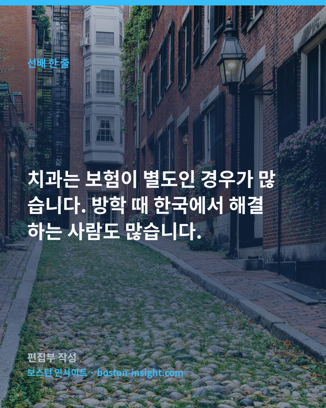 치과는 보험이 별도인 경우가 많습니다. 방학 때 한국에서 해결하는 사람도 많습니다.